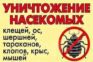 Уничтожение тараканов и клопов, муравьев. Дезинфекция и фумигация Город Улан-Удэ